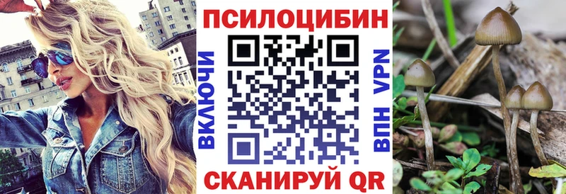 hydra зеркало где найти Бахчисарай Псилоцибиновые грибы GOLDEN TEACHER